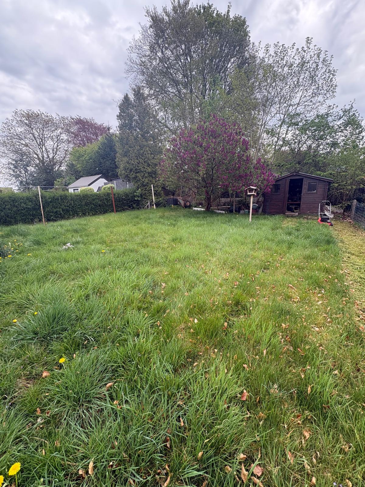 Jardin avant intervention — tonte à prévoir